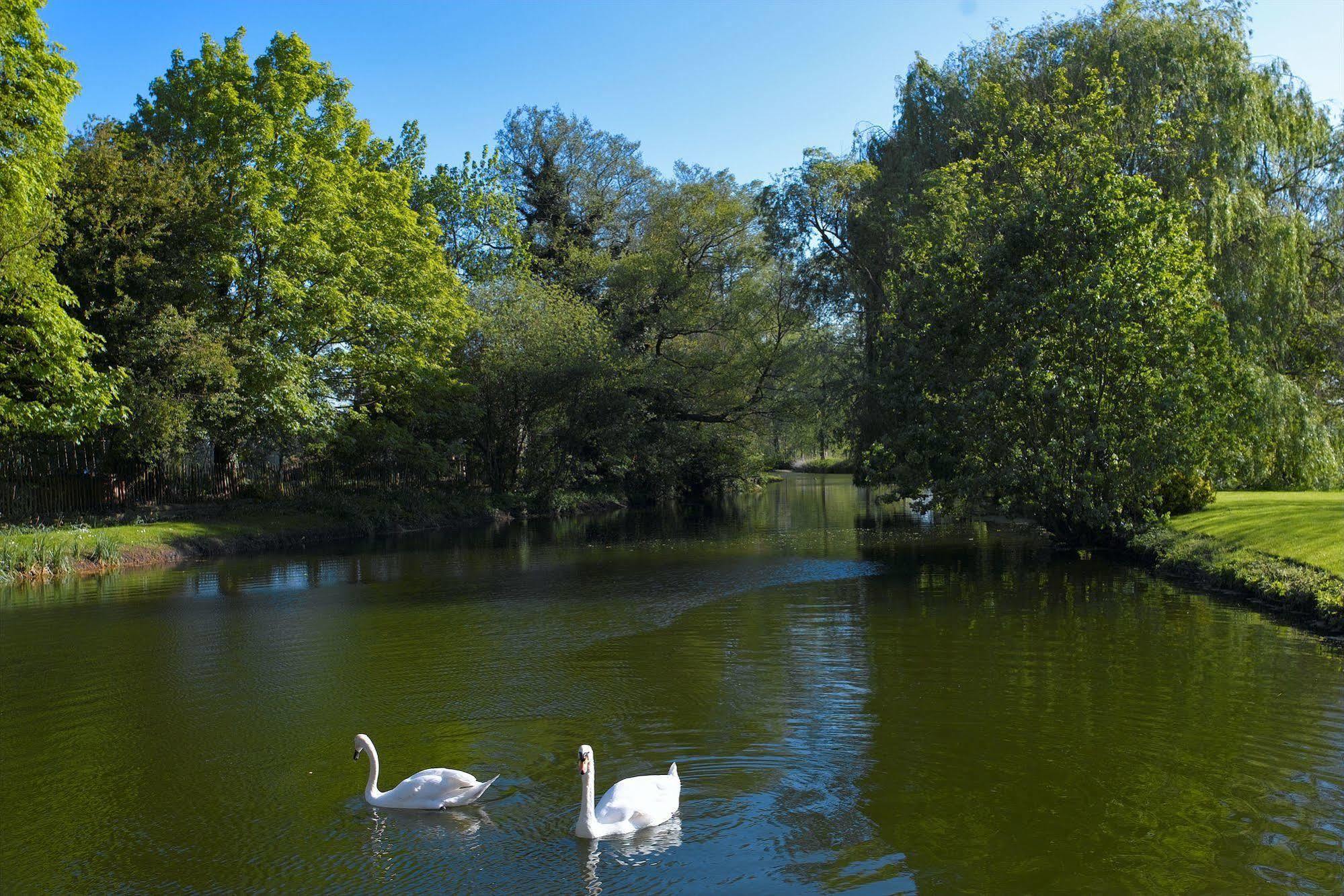 Tuddenham Mill Luxury Hotel Exterior photo The lake at the centre of the park
